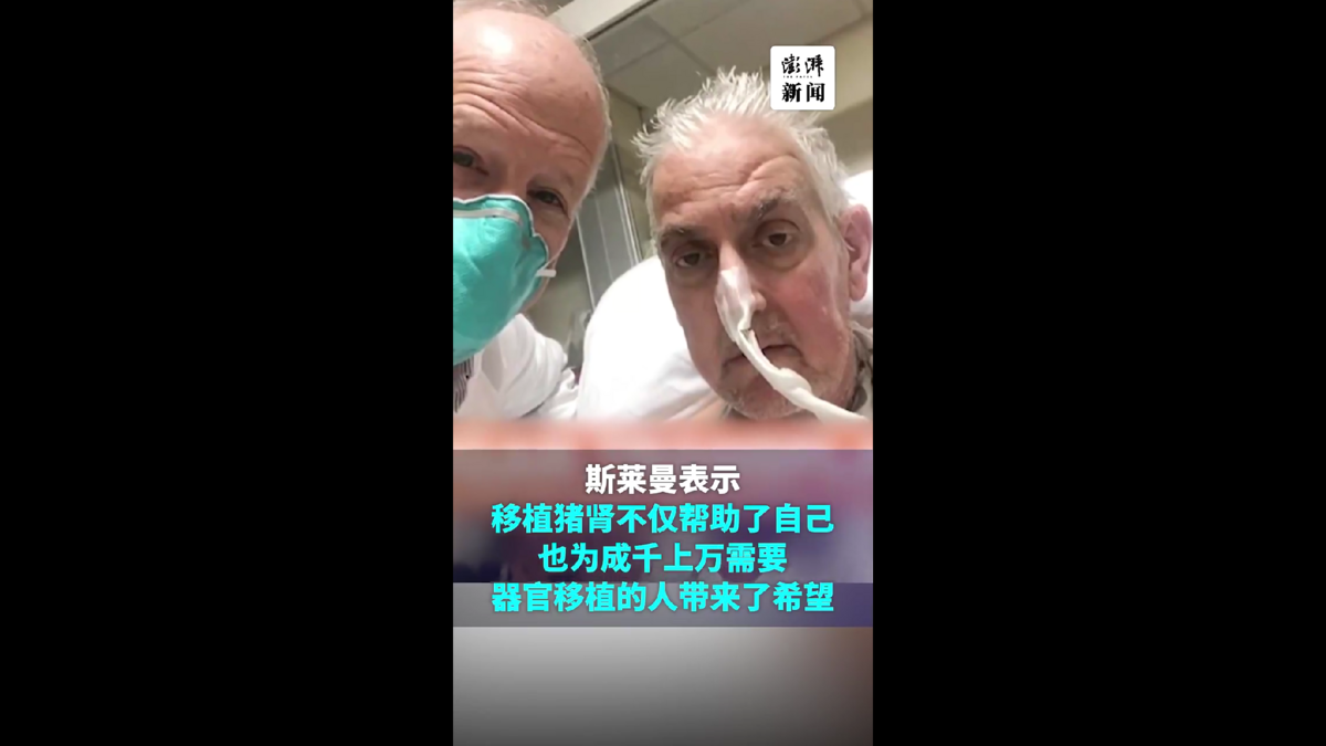 今年3月，馬薩諸塞州韋茅斯的62歲男子理查德·斯萊曼（Richard Slayman）成為世界上第一個成功接受基因編輯豬腎移植手術的人。 圖 : 翻攝自影片