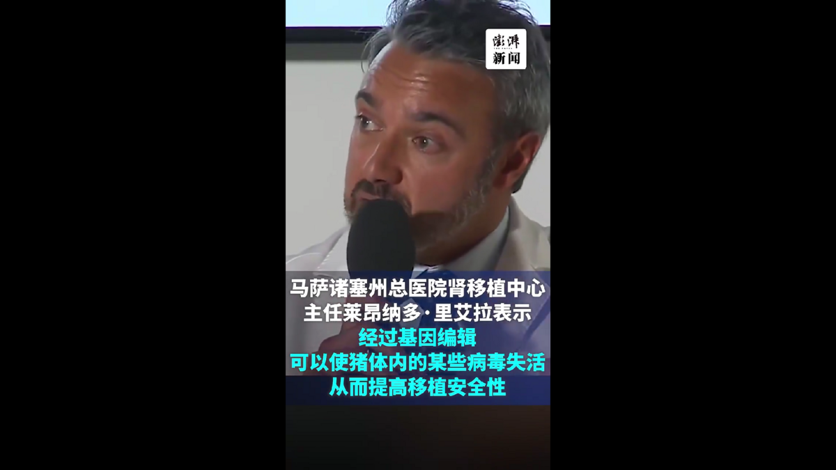 eGenesis公司利用CRISPR技術編輯豬的基因，製造出適合人體移植的腎臟。他們去除了有害基因，並增加了人類基因，提高了器官與人體的相容性。在移植前，也對潛在的病毒進行了滅活處理，確保安全性。 圖 : 翻攝自影片