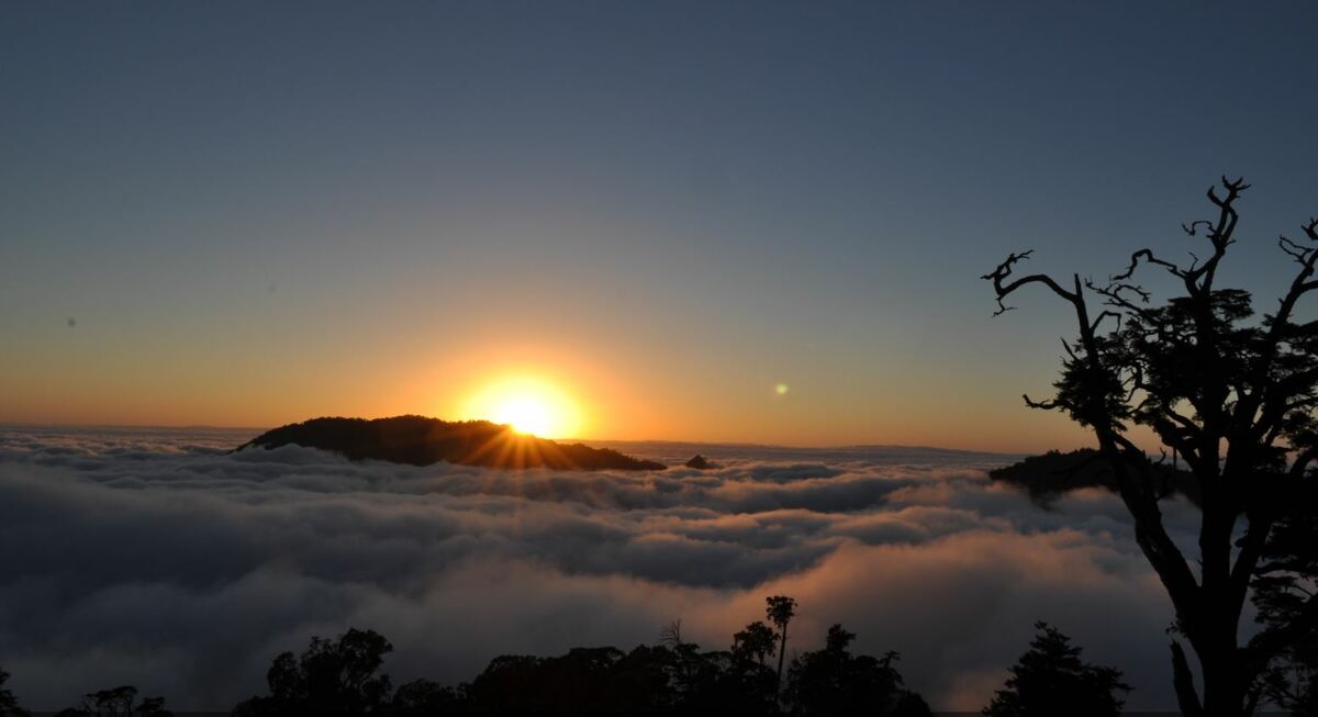 大雪山國家森林遊樂區適合生命靈數為1、7、8號的小寶貝們前來遊玩，他們獨立、好學且勇於表現，圖為大雪山森林遊樂區的夕陽。 圖：農業部林業及自然保育署／提供