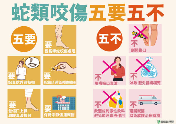 疾管署提醒，若民眾不慎被毒蛇咬傷，請記得毒蛇外觀特徵，包紮傷口上緣，盡速就醫。 圖：疾管署／提供