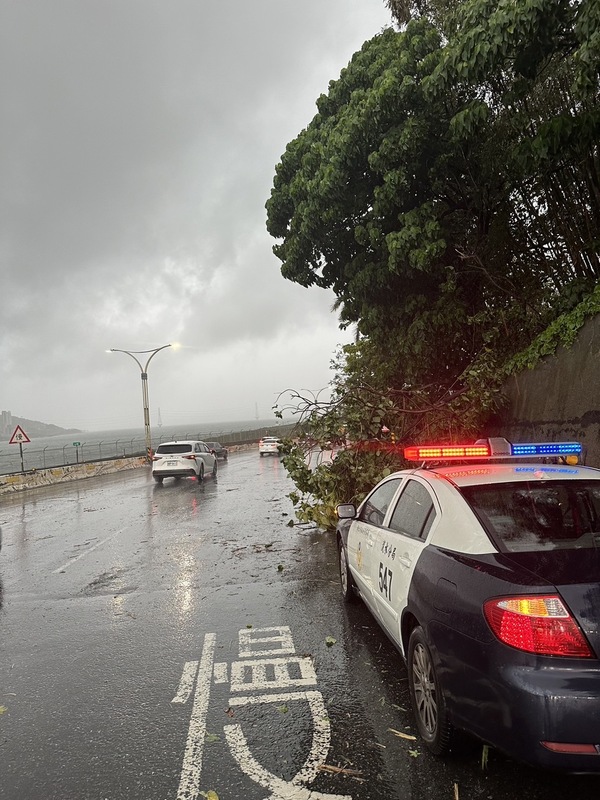 因強降雨及強陣風影響，新北市淡水區31日有路段發生路樹倒塌，佔據外側車道，警方到場交通管制，幸未釀傷亡。 圖：中央社/翻攝畫面