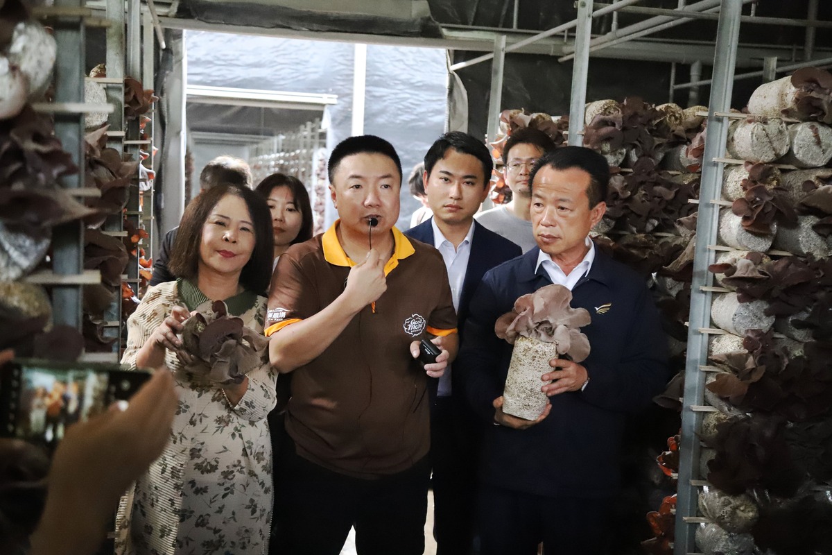 嘉義縣長翁章梁（左一）在場主莊詠傑（左三）陪同下視察旭嶺農場木耳栽種過程。 圖：嘉義縣政府提供