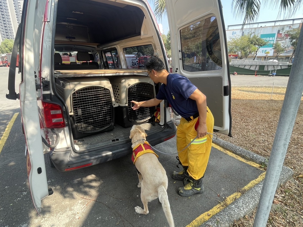 搜救犬隨隊出發前往花蓮救災。 圖：高雄市消防局/提供