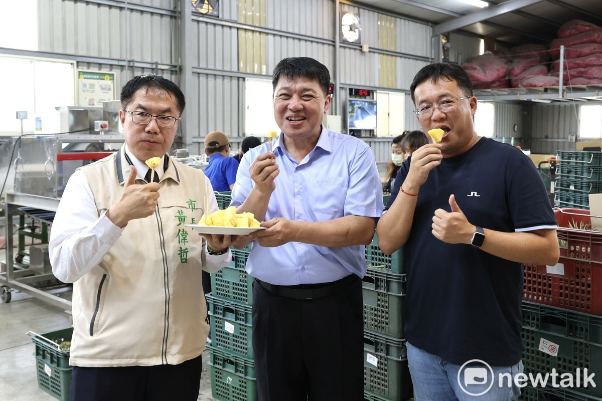 台南市長黃偉哲接洽新加坡貿易商，促成台南鳳梨大宗訂單至新加坡唐吉訶德通路販售，總計1,150箱約5.8公噸鳳梨將銷往新加坡唐吉訶德分店通路，預計4月14日抵港。黃偉哲今日視察外銷鳳梨封櫃狀況。 圖：台南市政府提供