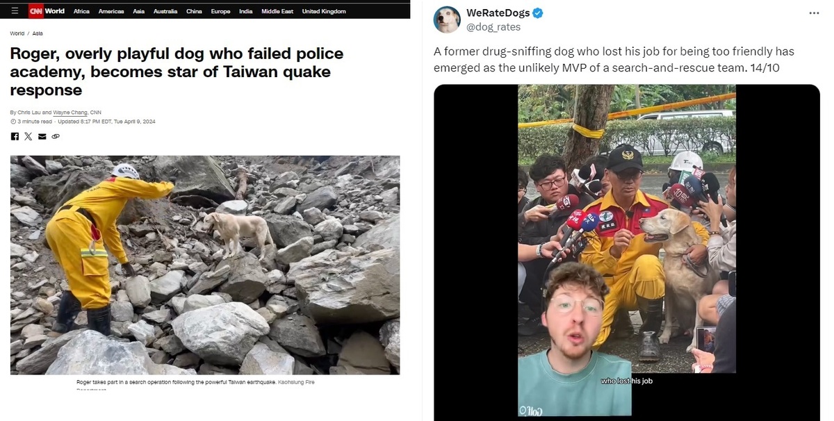 搜救犬Roger登上包括美國有線電視新聞台CNN（左圖）、國際知名「We Rate Dogs」社群網站（右圖），成為國際犬明星。 圖：翻攝自CNN、We Rate Dogs/新頭殼合成