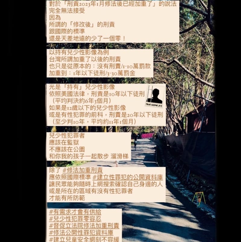 李靚蕾指出關於兒少法規，台灣「修改後」的刑責與美國的標準，兩者還是天差地遠。 圖：翻攝自李靚蕾IG