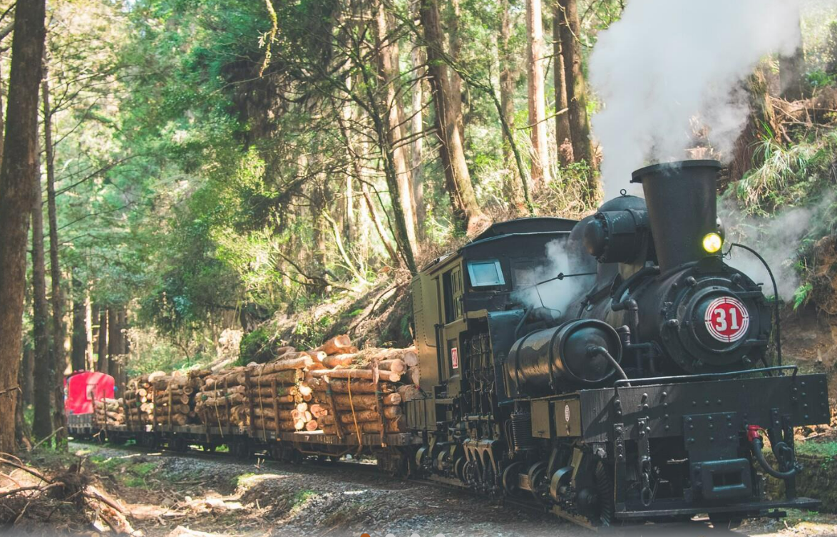 嘉義最近頻繁發生地震，可能導致山區邊坡地質不穩，今(14)日早晨，一棵大樹倒塌阻斷了小火車的路線。 圖：翻攝自阿里山林業鐵路及文化資產管理處