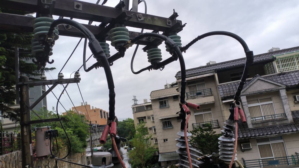 桃園市龍潭區因雷雨影響，導致樹竹傾斜碰觸高壓開關，造成近萬戶無預警停電。 圖：台電桃園區處/提供