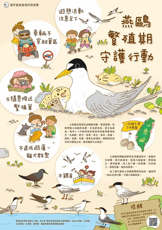 海保署提醒，在燕鷗繁殖期，務必遵守「四不一要」原則。 圖：海洋保育署／提供
