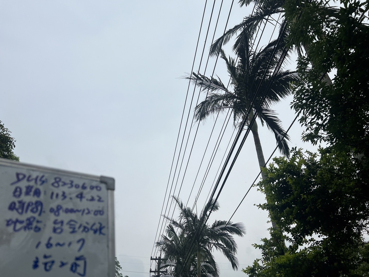 台電承攬商修剪樹木，不慎有樹竹掉落誤觸高壓線路致饋線跳脫，造成龍潭區橫岡下、銅鑼圈段、福源路等一帶共687戶停電。 圖：台電公司／提供