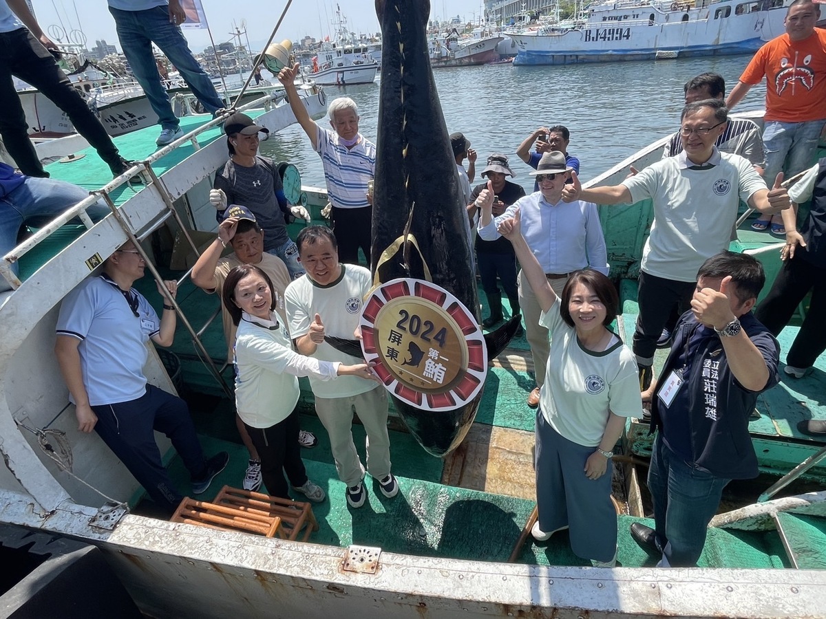 今年屏東第一鮪為黑鮪魚季開出紅盤，每公斤破萬元，現在卻慘跌到嚏剩70元。 圖：東港區漁會/提供（資料照）