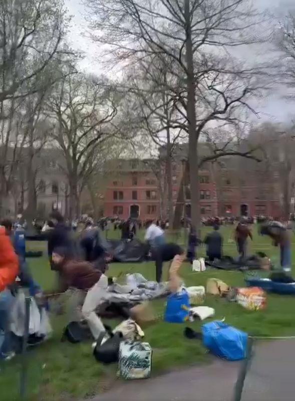 哈佛大學的草坪，已被親巴勒斯坦人士徹底佔據。 圖：翻攝自盤古千尋 X（前推特）帳號