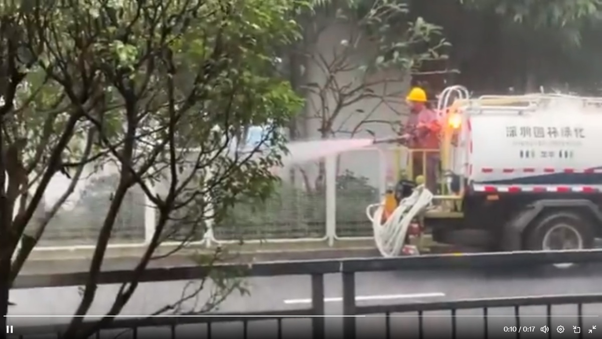 深圳市綠化隊頂著暴雨與洪水警報，開著灑水車對街邊植物澆水。 圖：擷取自 @xinwendiaocha X 分享影片