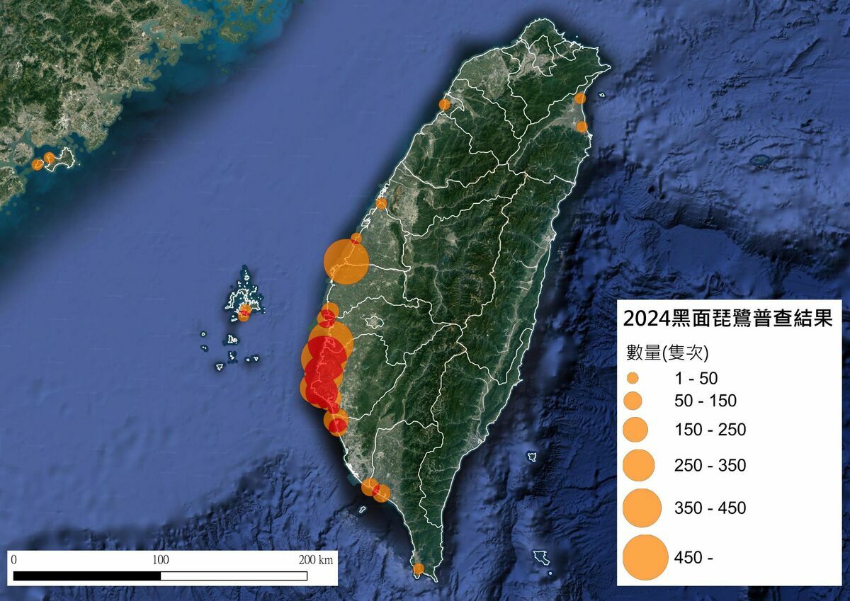 2024台灣同步普查分布圖。 圖：農業部林業及自然保育署／提供