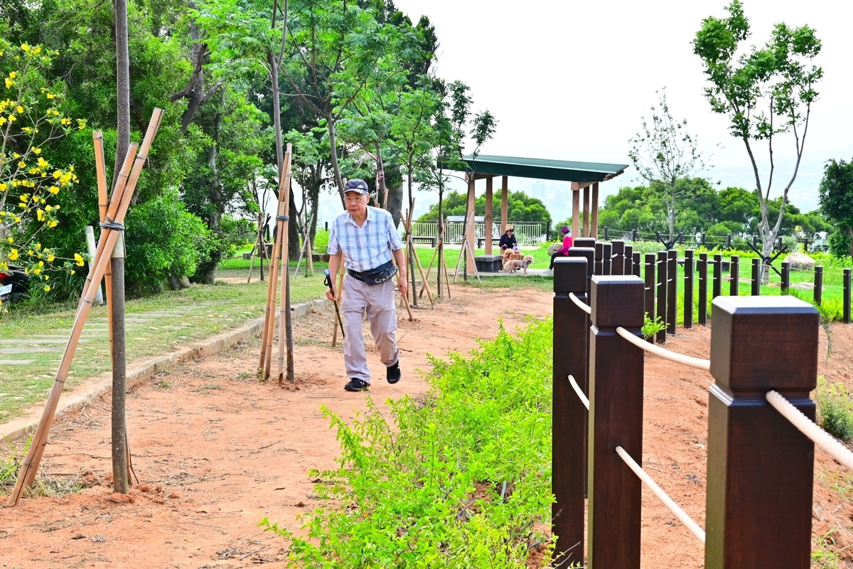竹坑南寮登山步道去年228連假期間受到野火波及，通往A步道觀景平台沿線遭火災燒毀，不過已在4月重新開放。 圖：台中市政府觀光旅遊局／提供
