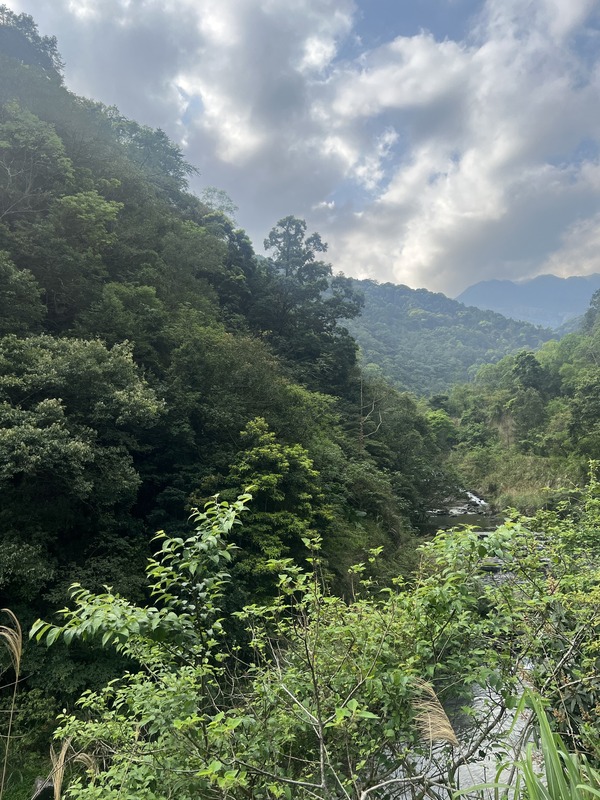新北三峽的滿月圓國家森林遊樂區，距離三峽市區僅40分鐘，是北部人踏青旅遊的好去處。 圖：取自滿月圓國家森林遊樂區臉書
