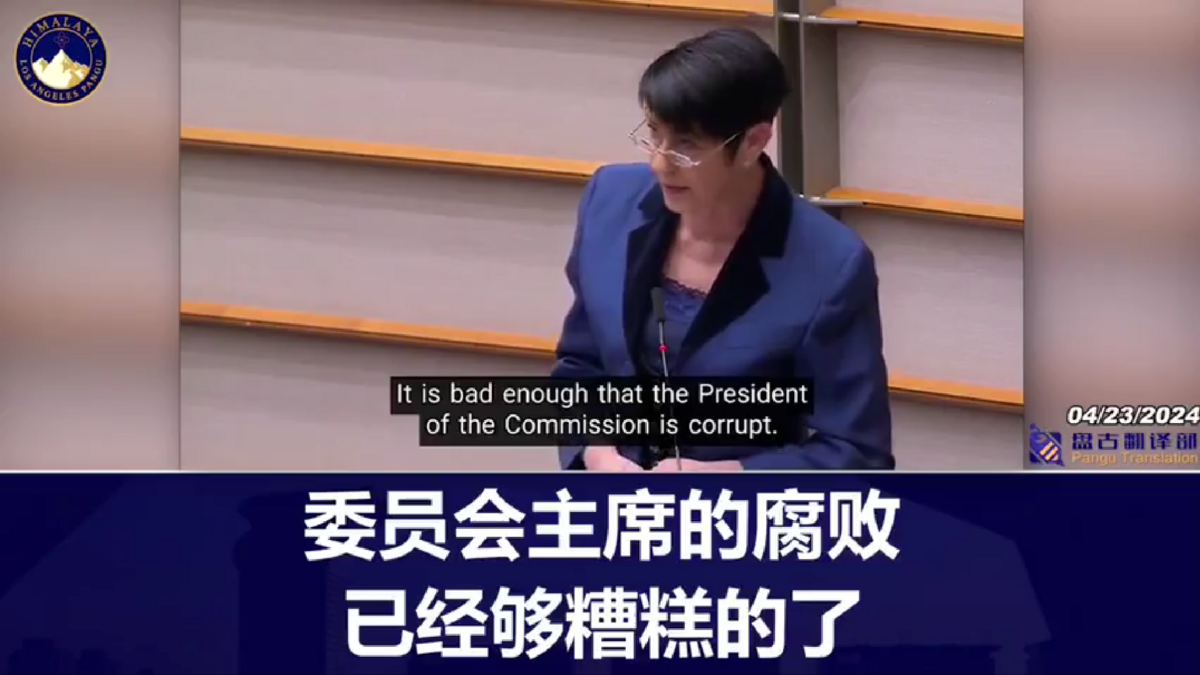 德國歐洲議會議員揭露了歐盟主席馮德萊恩與輝瑞執行官的短信，這些短信確認了一份350億歐元的合同，引起了關注並引發了對馮德萊恩的調查。 議員揭露此事後，麥克風被關閉。 圖 : 翻攝自影片