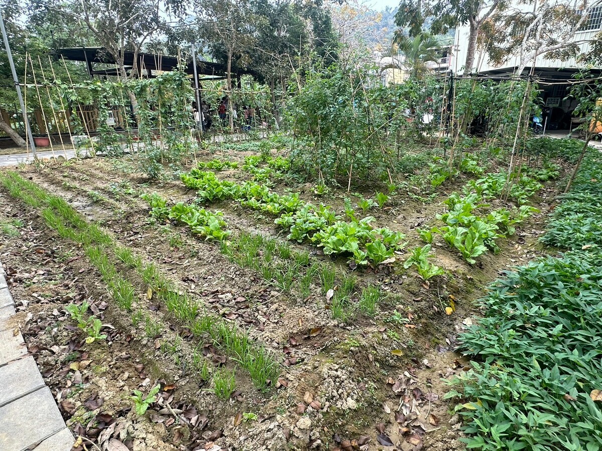 金山社區菜園提供關懷據點及食農教育。 圖：高雄市都發局/提供