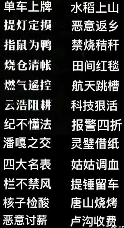 網友憤怒表示，中國新成語又新增了一個「樓房超載」。在此之前已有「科技狠活」、「唐山燒烤」等新成語。 圖 : 翻攝自X帳號@LUOXIANGZY