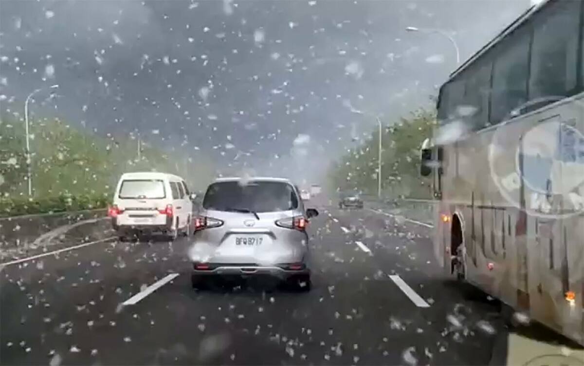 今(1)日國道一號突然飄下5月雪，因彰化縣埤頭鄉到二林鎮、東螺溪沿岸有600多棵綿延5公里的木棉花道。 圖：翻攝自記者新聞網臉書