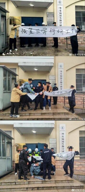 中國病毒學家張永振實驗室遭封，學生拉布條抗議被中國警方撕毀。 圖：翻攝自 Ｘ（前推特）@whyyoutouzhele