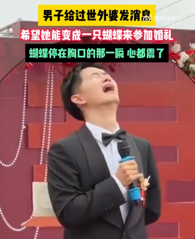 新郎告訴來賓他外婆去世，希望外婆能化成蝴蝶參加他婚禮時，一隻蝴蝶剛好落到新郎胸口。 圖：翻攝自微博
