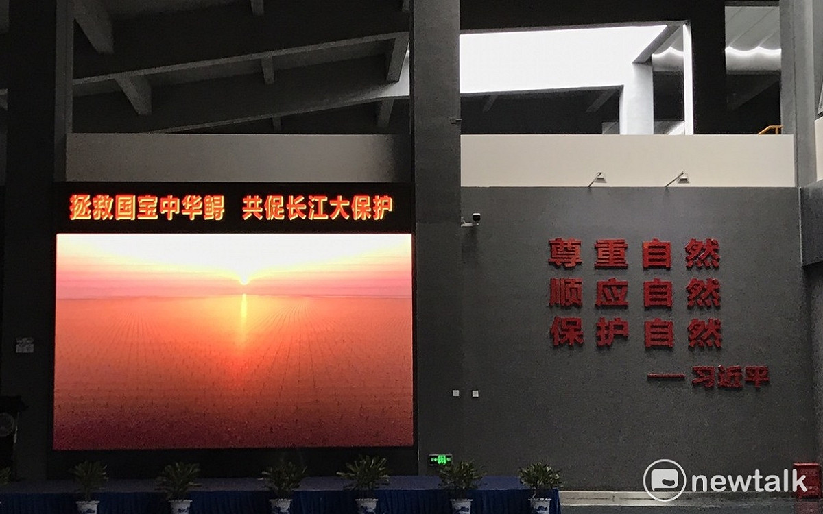 中華鱘保護區。 圖：周煊惠/攝