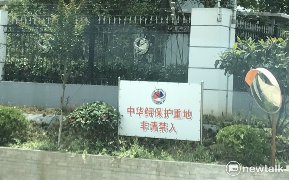 中華鱘保護區門禁森嚴。 圖：周煊惠/攝