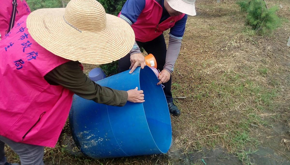 登革熱病媒蚊調查照片。 圖：台中市政府/提供