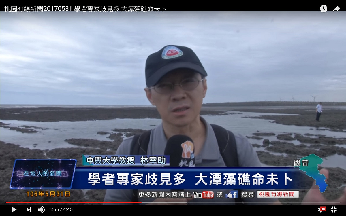 台灣濕地學會林幸助理事長受訪表示大潭藻礁生態不好生物不多。 圖 : 翻攝自桃園有線電視系統台