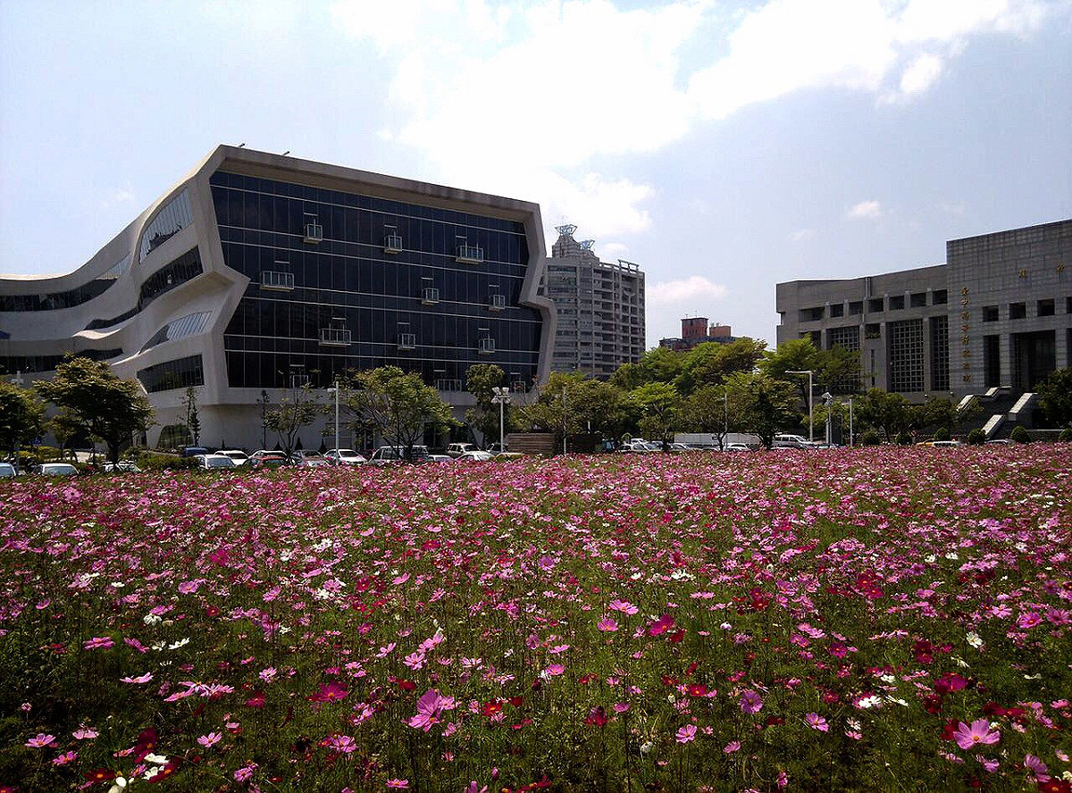到台中最常逛的就是綠園道，享受城市中的一片綠地，但現在台中市政府建構了新的小花海，就在國立公共資訊圖書館旁，規劃了2.3公頃空地，未來有花海區及農夫市集，預估將成為城市觀光新亮點。 圖：台中市政府/提供