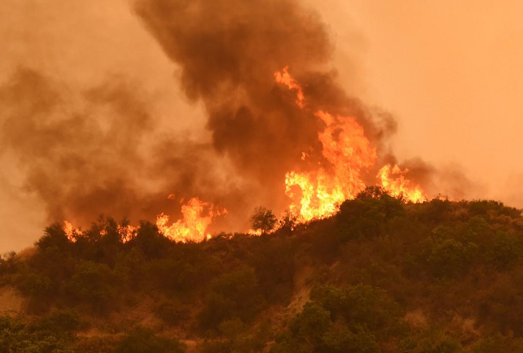 消防人員僅控制了10％的火勢，現場出動了超過1000人救援。 圖：Barbara County Fire twitter