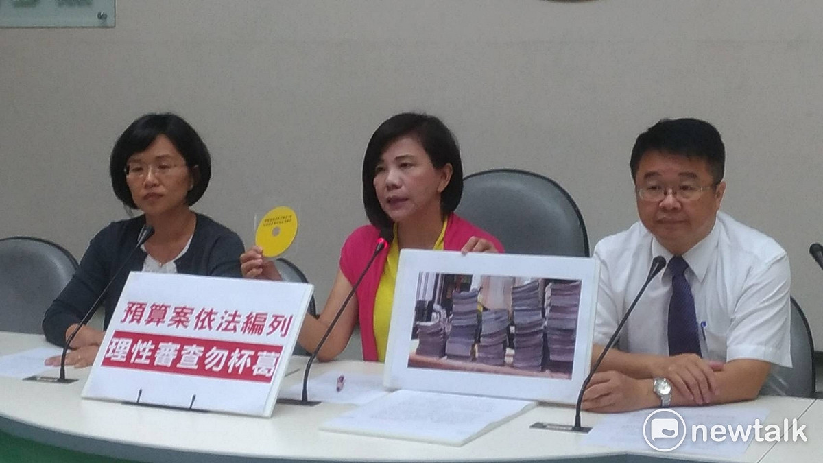 針對爆發藍綠立委肢體衝突。民進黨立院黨團幹事長葉宜津13日痛批國民黨蠻橫，侵犯別人權益。 圖：林人芳／攝