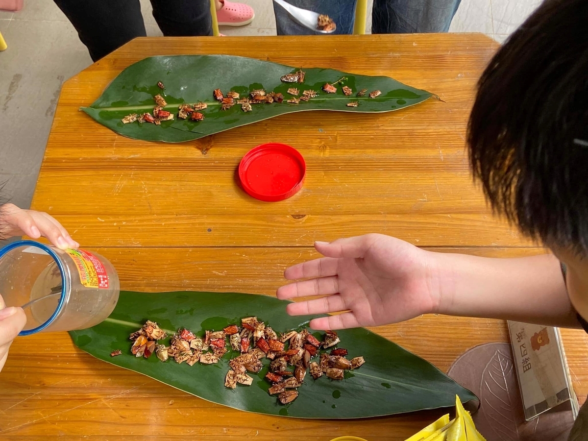 衛生福利部食藥署副署長林金富今(10)日表示，會糾正林業署，同時提醒，若製造、加工、調配、包裝等，恐觸犯食安法，最高可開罰2億元。 圖：翻攝自林業署嘉義分署官網