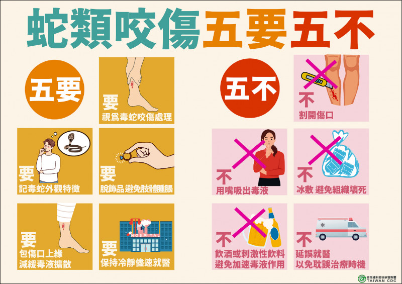 台東衛生局表示，如果真的不慎被蛇類咬傷，要牢記「五要五不」的口訣盡速就醫。 圖：台東縣衛生局／提供
