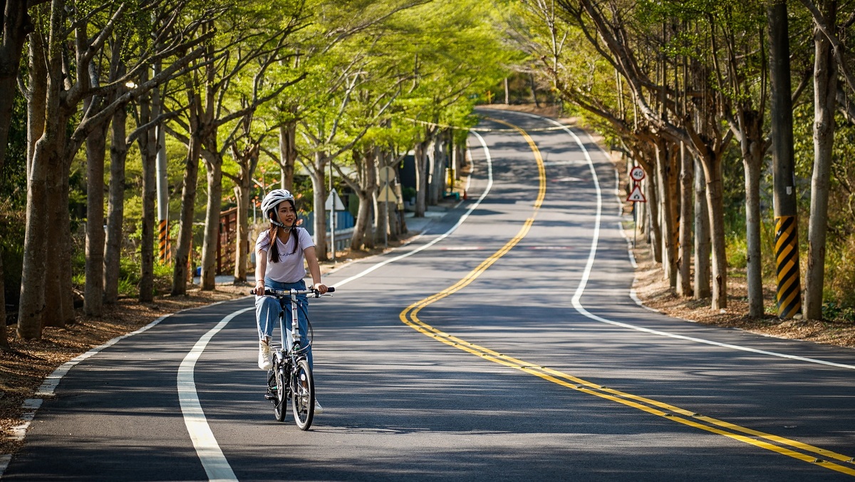 參山處規劃的路線，非常適合騎自行車順道賞風景。 圖：參山處/提供