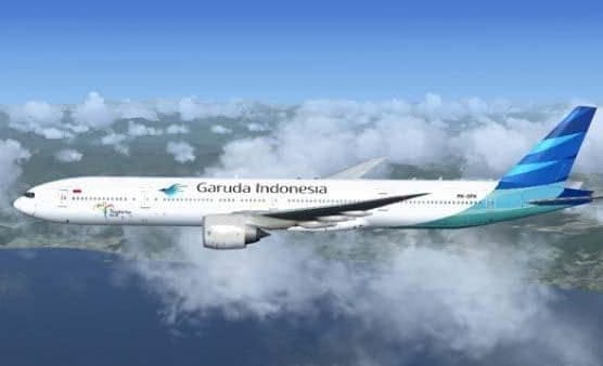 印尼印尼鷹記航空客機。(示意圖) 圖 : 翻攝自Indonisia Travel