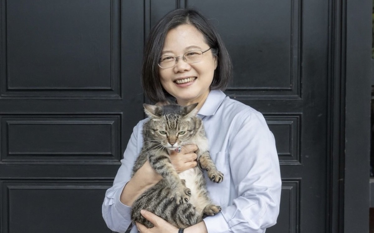 蔡英文搬離官邸前合照貓狗 網友湧入祝福：謝謝總統讓我們很驕傲
