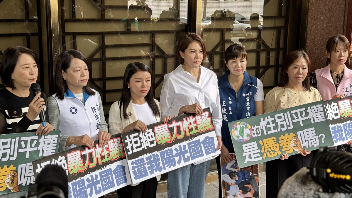 國民黨立委陳菁徽與國民黨籍民代一同赴台北地院，對民進黨立委鍾佳濱提告。 圖：陳菁徽辦公室/提供
