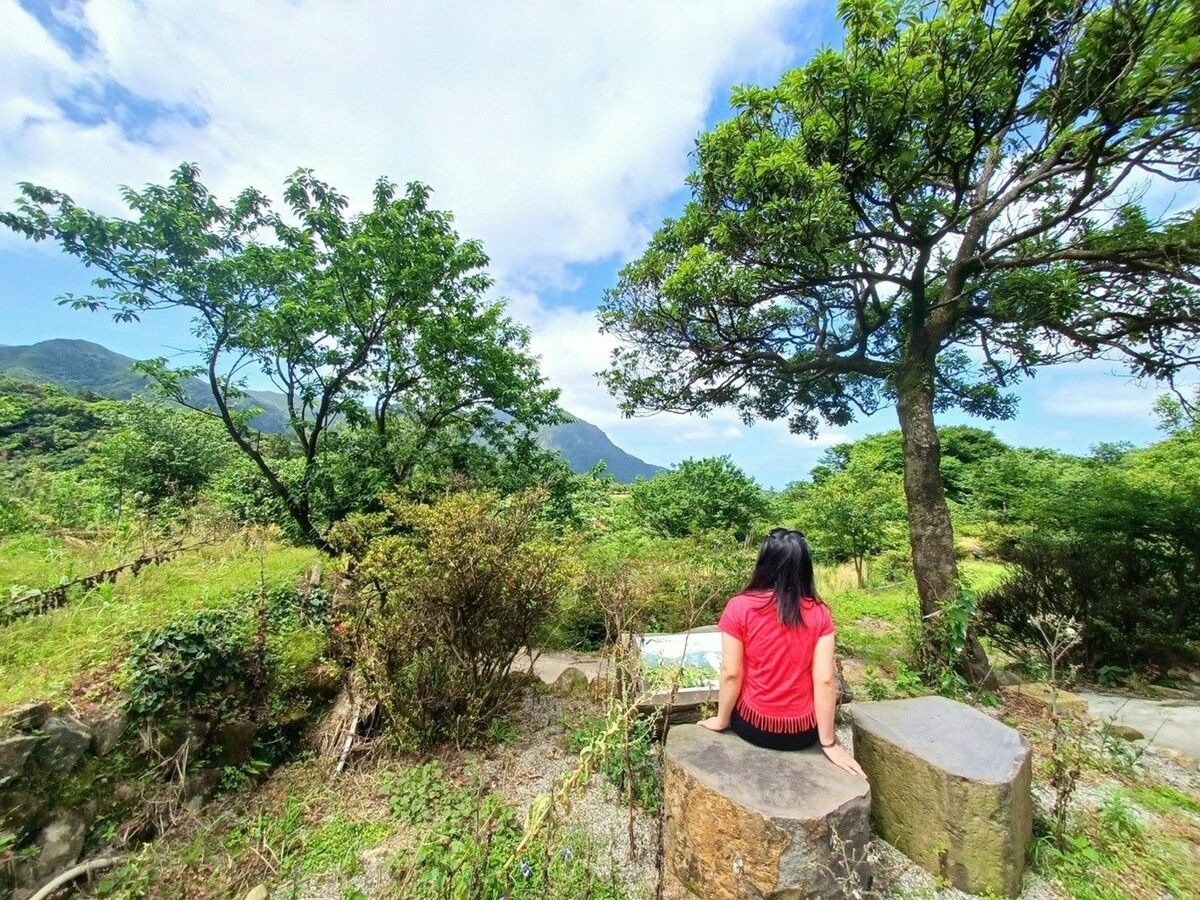 湖田後山梯田看山平台。 圖：台北市政府工務局大地工程處／提供