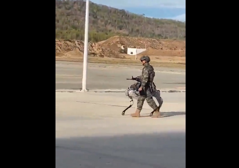 (影) 中柬軍演「它」大出鋒頭! 違反道德規範 解放軍機器狗上架槍 網友直指這缺點.....