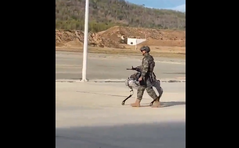 (影) 中柬軍演「它」大出鋒頭! 違反道德規範 解放軍機器狗上架槍 網友直指這缺點.....