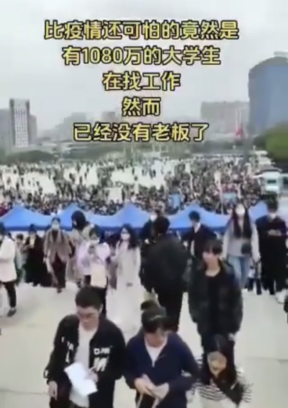 「德潤傳媒」轉發影片，比疫情還可怕的是有 1080 萬大學生在找工作，然而沒有老闆了。 圖﹔翻攝自 X (前推特) 德潤傳媒