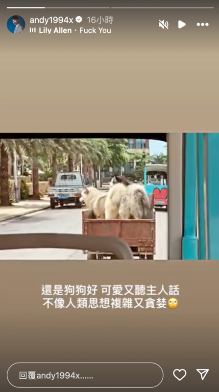 Andy昨日也發出限動表示，「還是狗狗好，不像人類思想複雜又貪婪」。 圖：翻攝自Andy IG