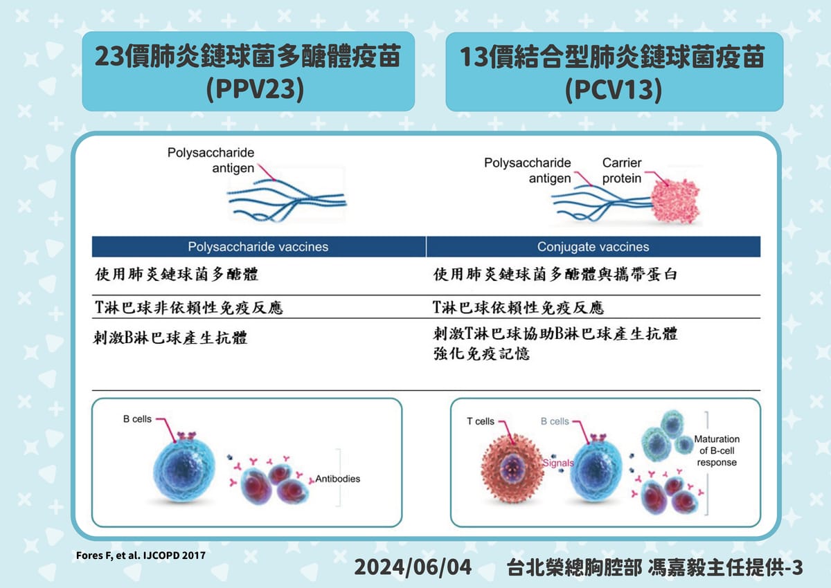 及PPV23都是相當安全的不活化疫苗，PCV13為結合型疫苗，含13種血清型，可產生抗體與激發免疫記憶。 圖：疾管署／提供