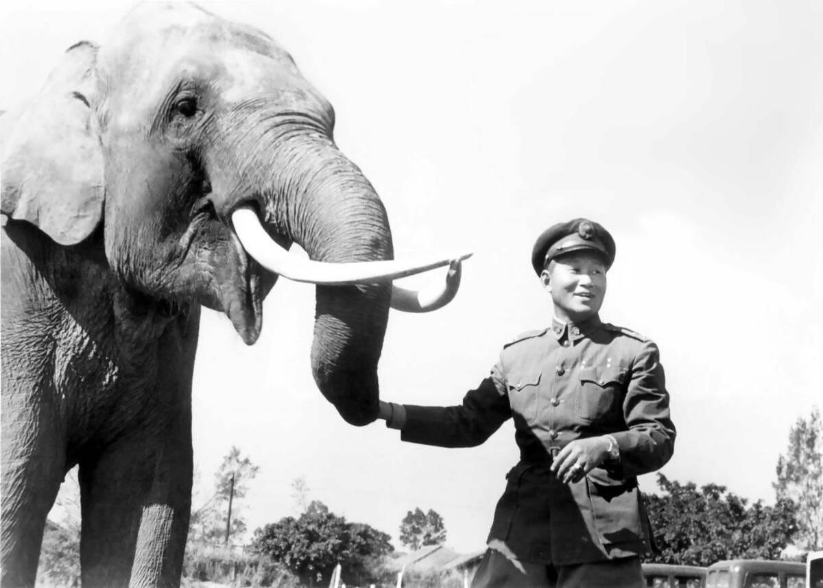 孫立人將軍與大象林旺在陸軍官校。民國39年 圖：羅超群攝影，羅廣仁提供