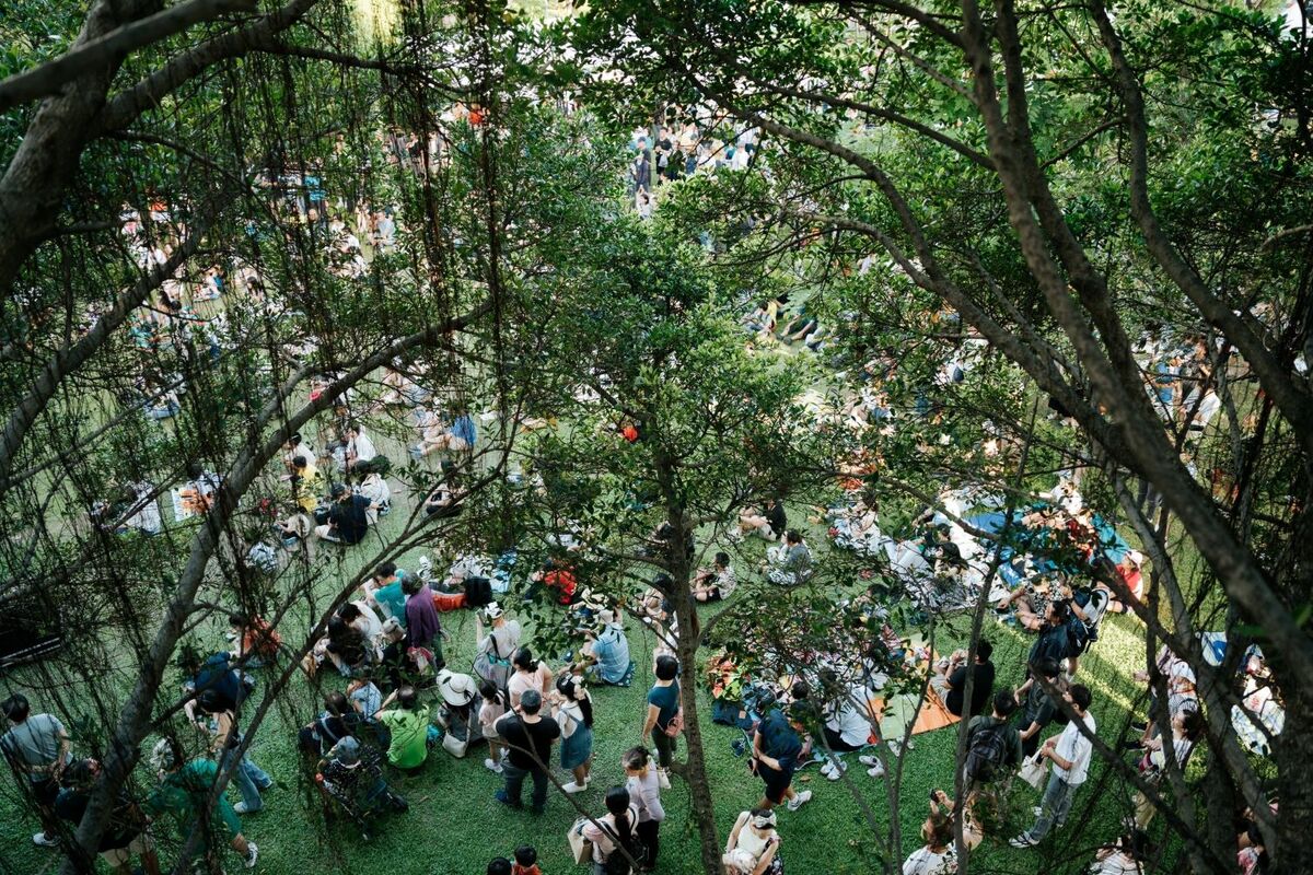 民眾在大義公園草皮上愜意野餐。 圖：高雄市行國處/提供