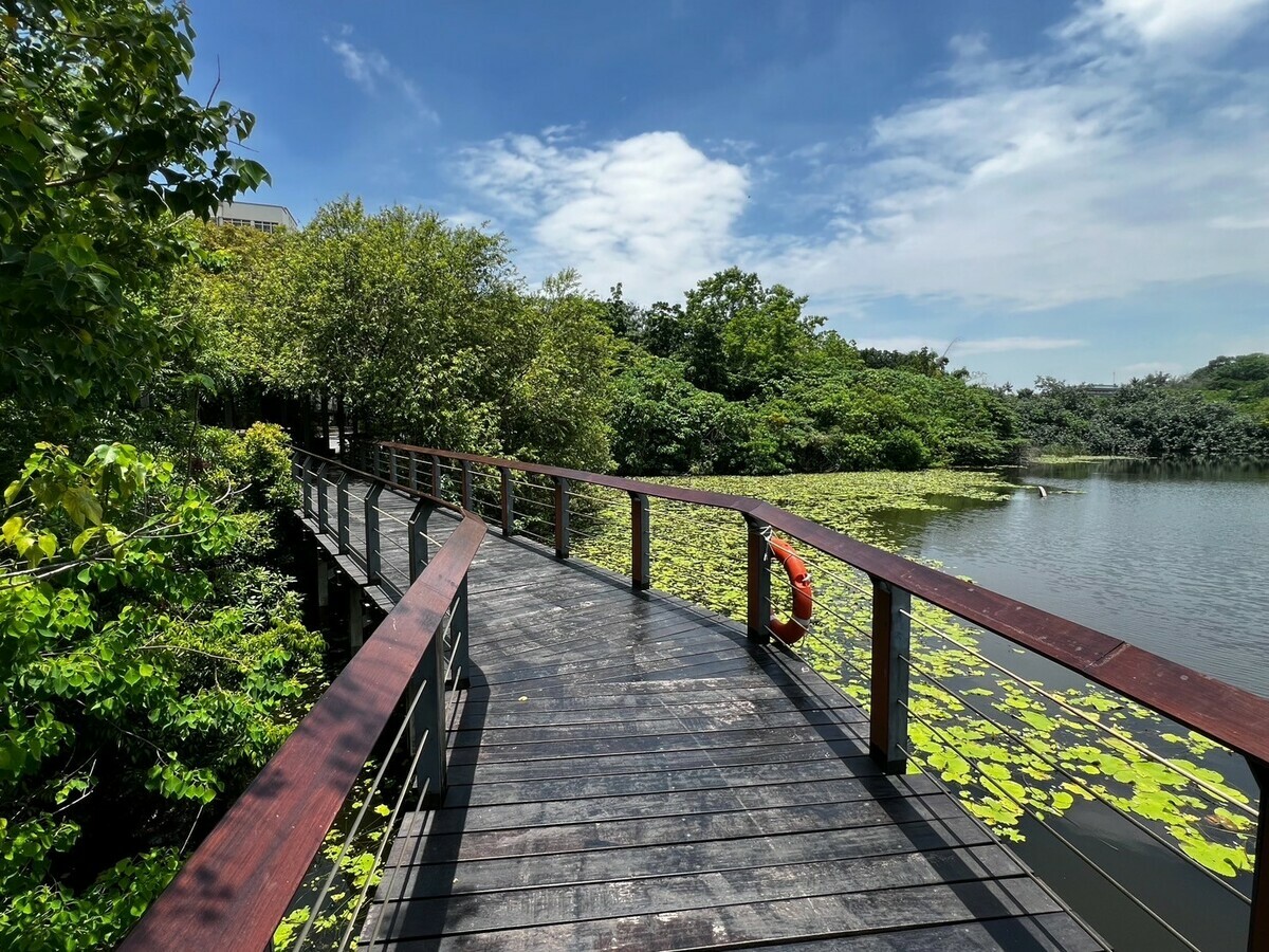 鳥松濕地人行步道完成更新。 圖：高雄市觀光局/提供