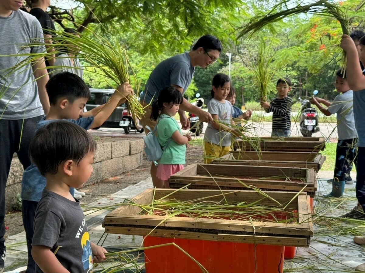 高雄市野鳥學會水稻收割體驗活動。 圖：高雄市觀光局/提供
