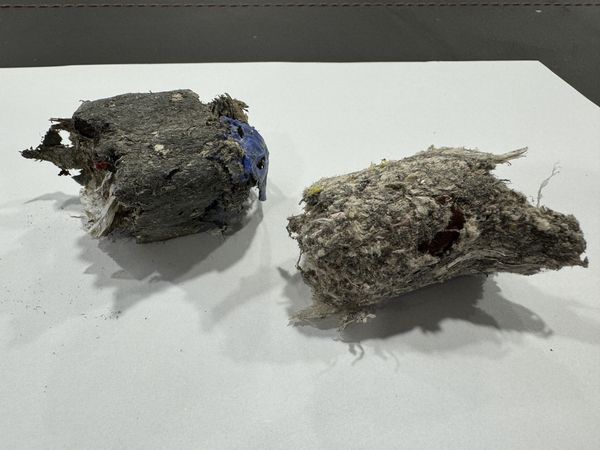 彭啟明進一步指出，為協助SRF產業建立健全體質，環境部將籌組「SRF營運體檢輔導團」對 SRF製造廠及使用場進行全面體檢及產業輔導。 圖：翻攝自彭啟明臉書